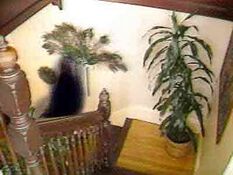 A vision as described by Sam. Shadow entity in corner of staircase